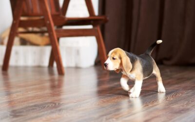 Signs of an Excellent Flooring Contractor