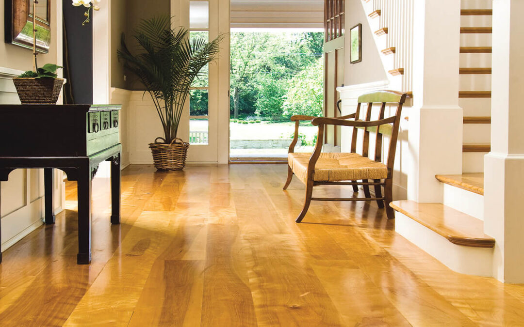The advantage and disadvantage of birch floors
